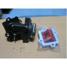 Intake Manifold And Reed Cage