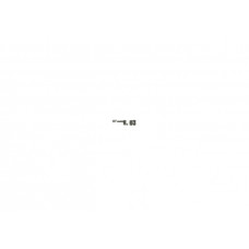 SELF LOCKING SCREW 5*12