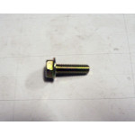 Hex Washer Face Bolt, M6x20