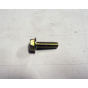 Hex Washer Face Bolt, M6x20