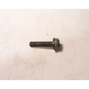 Hex Washer Face Bolt, M6x25