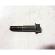 Hex Washer Face Bolt