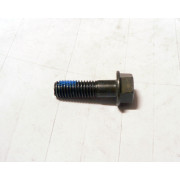 Hex Washer Bolt