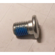 Rear disk flush brake bolt