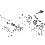 Magneto | Starter Motor