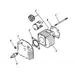 Cylinder | Cylinder Head