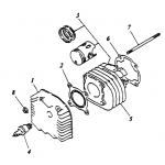 Cylinder | Cylinder Head