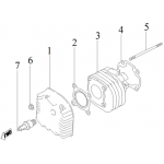 Cylinder, Cylinder Head