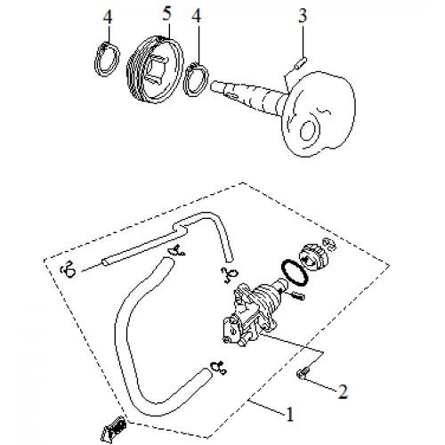 Oil Pump