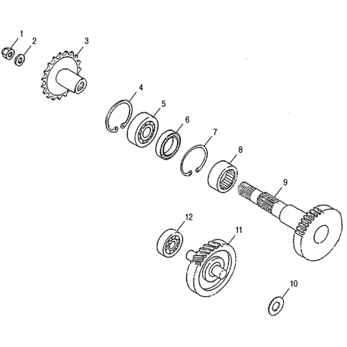 Drive Shaft