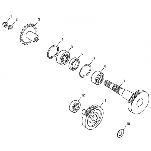Drive Shaft